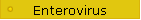 Enterovirus