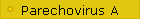 Parechovirus A